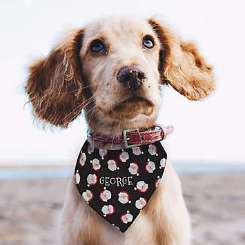 Personalised bandana hot sale dog