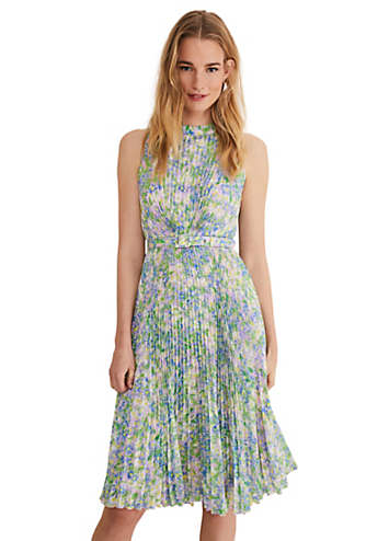 Phase eight daisy dress sale