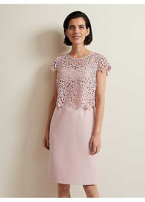 Daisy Lace Midi Dress by Phase Eight | Look Again