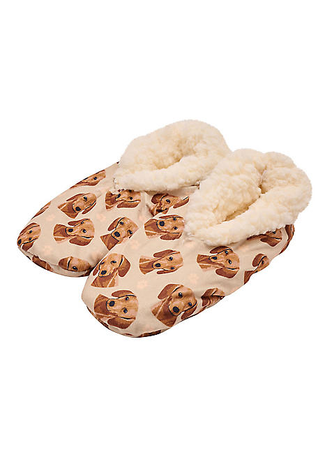 Dachshund discount novelty slippers