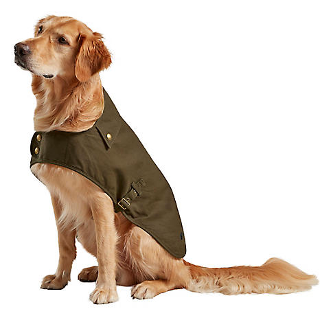 dog field jacket