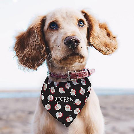 Dog sale santa bandana