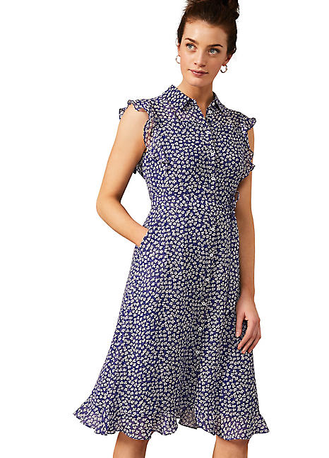 phase eight ditsy dress