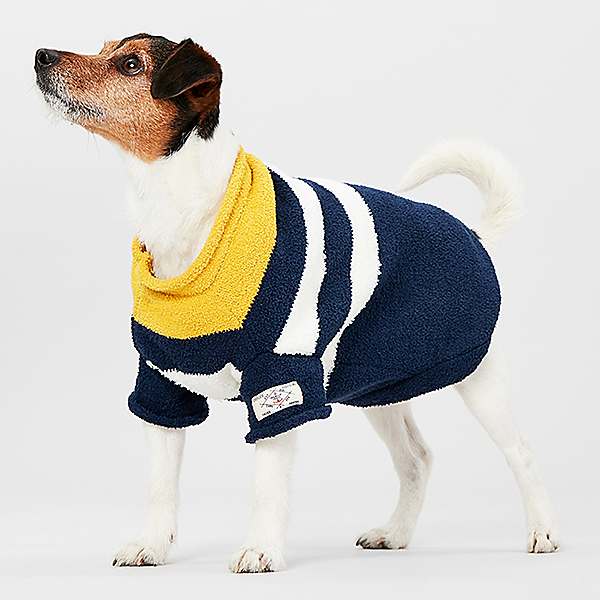 Joules dog best sale