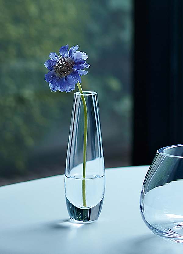 Flower Single Stem Vase - Clear by LSA | Look Again