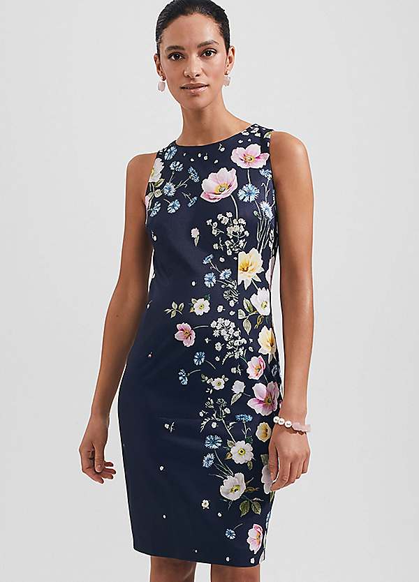 Hobbs moira clearance dress