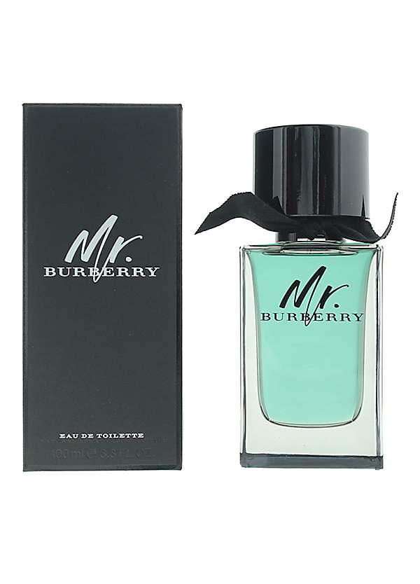 burberry mr. burberry eau de parfum 100 ml