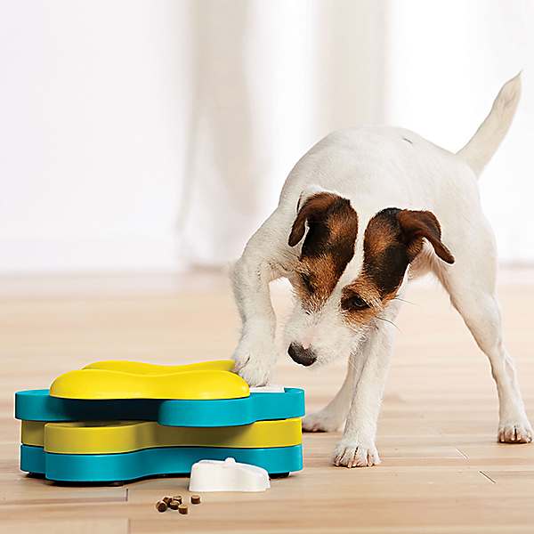 Dog treat online puzzles