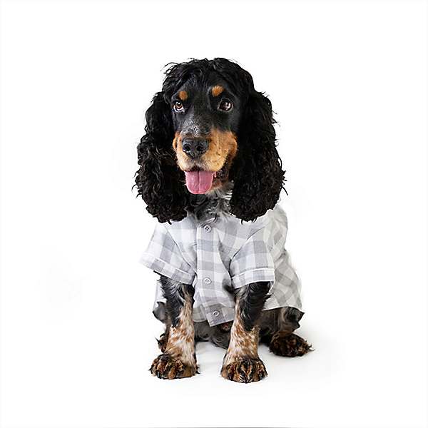 Dog discount christmas pyjamas