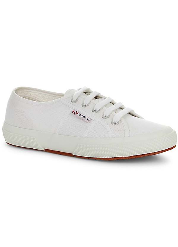 Canvas superga 2025